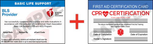 Sample American Heart Association AHA BLS CPR Card Certificaiton and First Aid Certification Card from CPR Certification Columbia