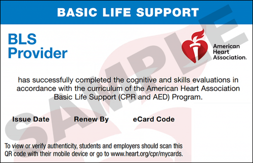 Sample American Heart Association AHA BLS CPR Card Certification from CPR Certification Columbia