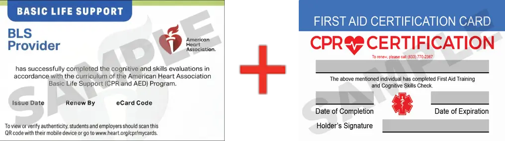 Sample American Heart Association AHA BLS CPR Card Certification and First Aid Certification Card from CPR Certification Columbia