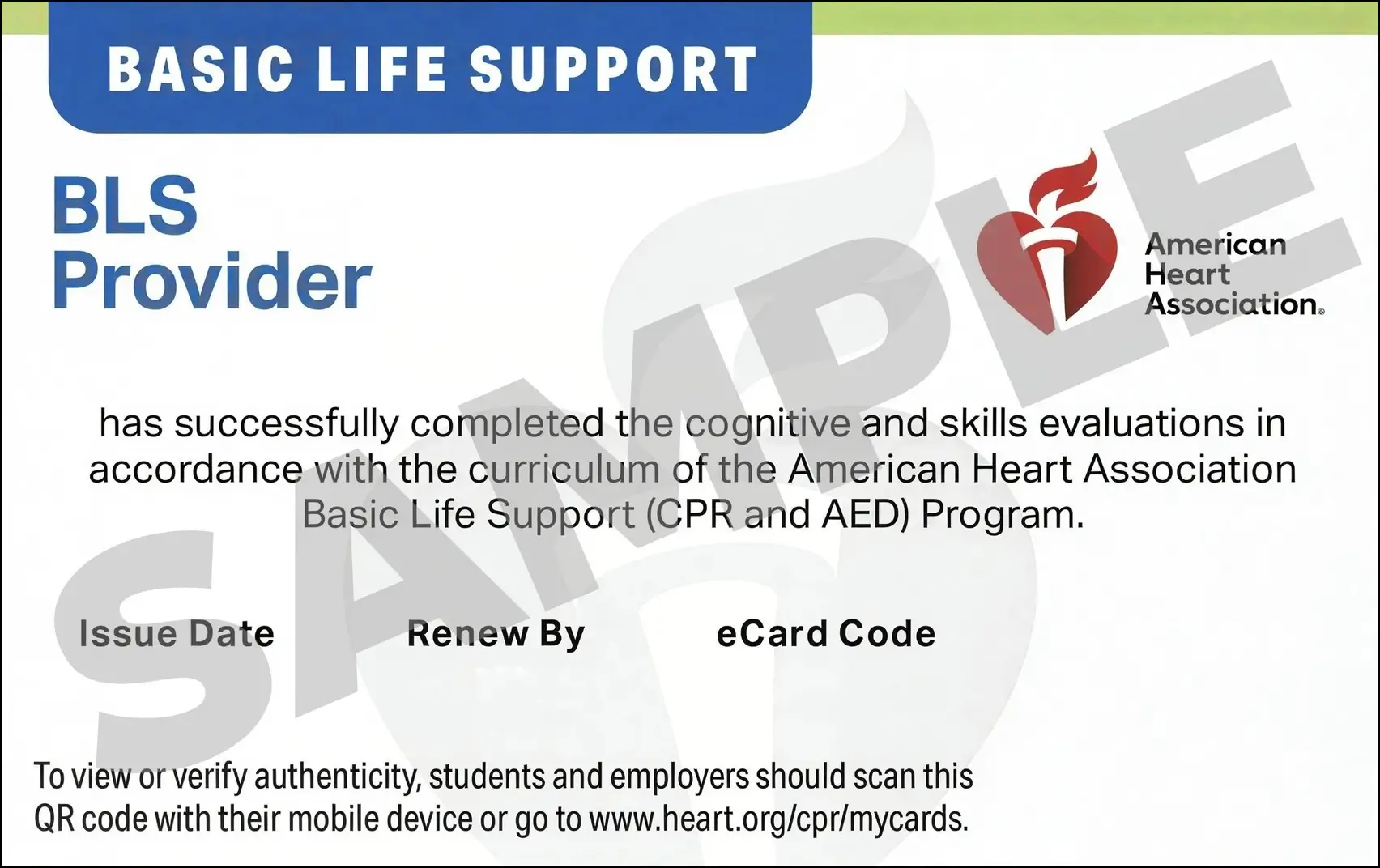 Sample American Heart Association AHA BLS CPR Card Certification from CPR Certification Columbia
